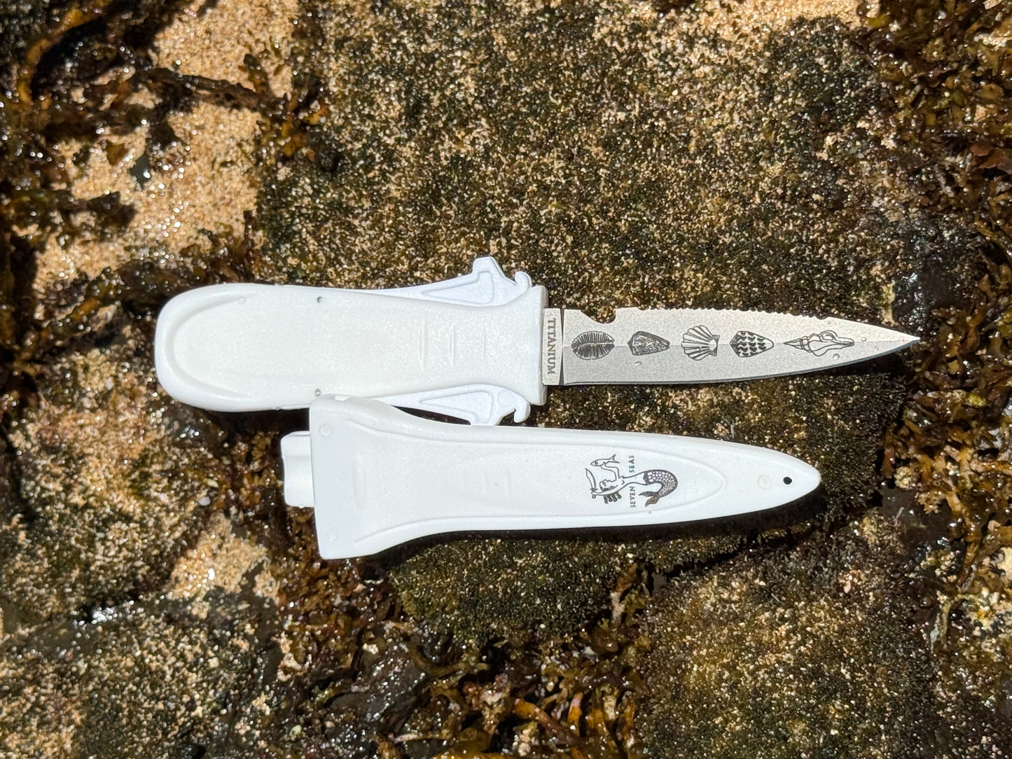 Shell Pattern Dive Knife