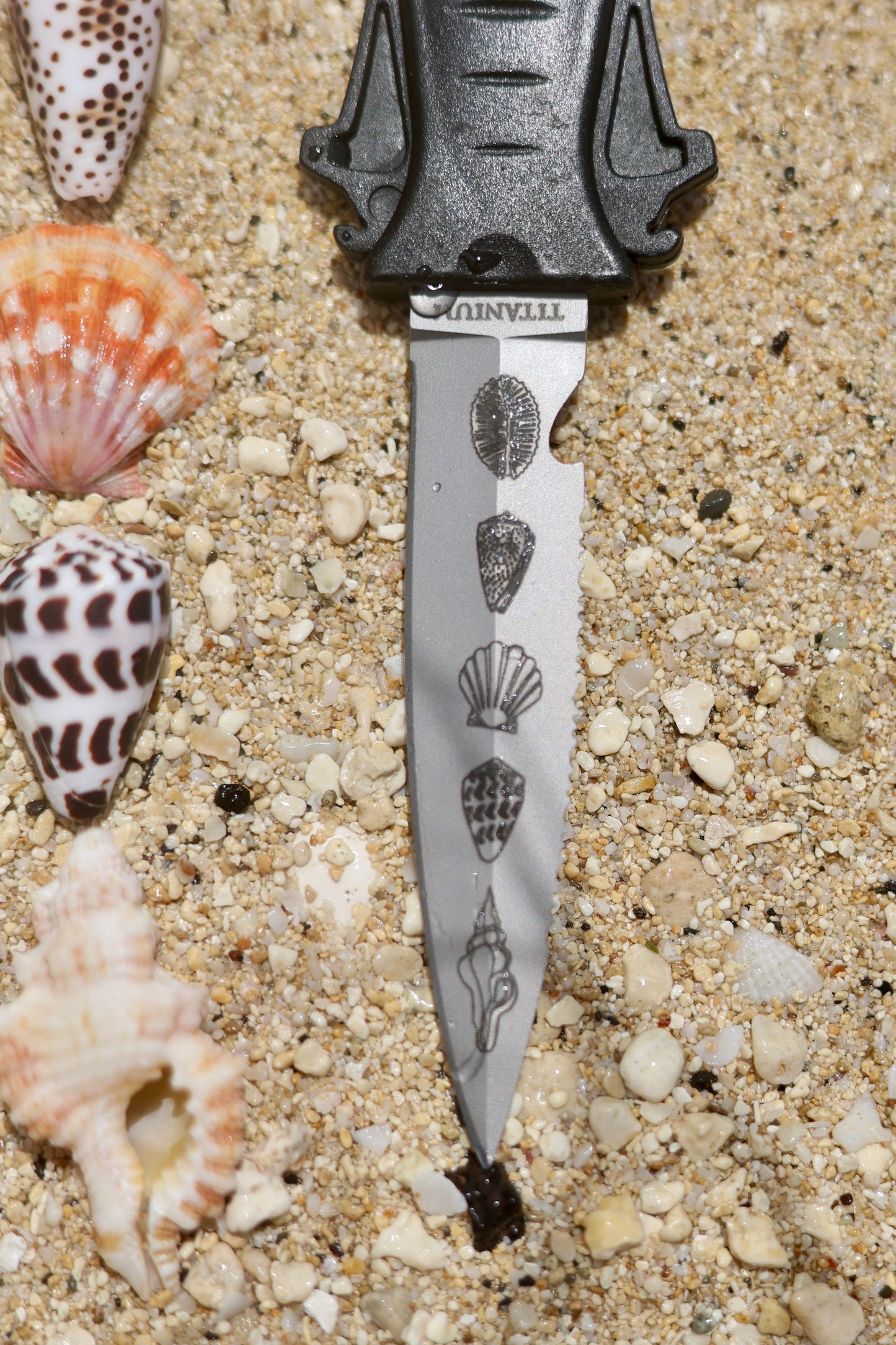 Shell Pattern Dive Knife SOLD OUT