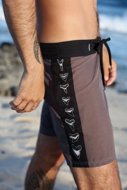 Apex Boardshorts