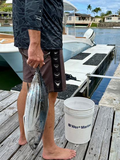 Apex Boardshorts
